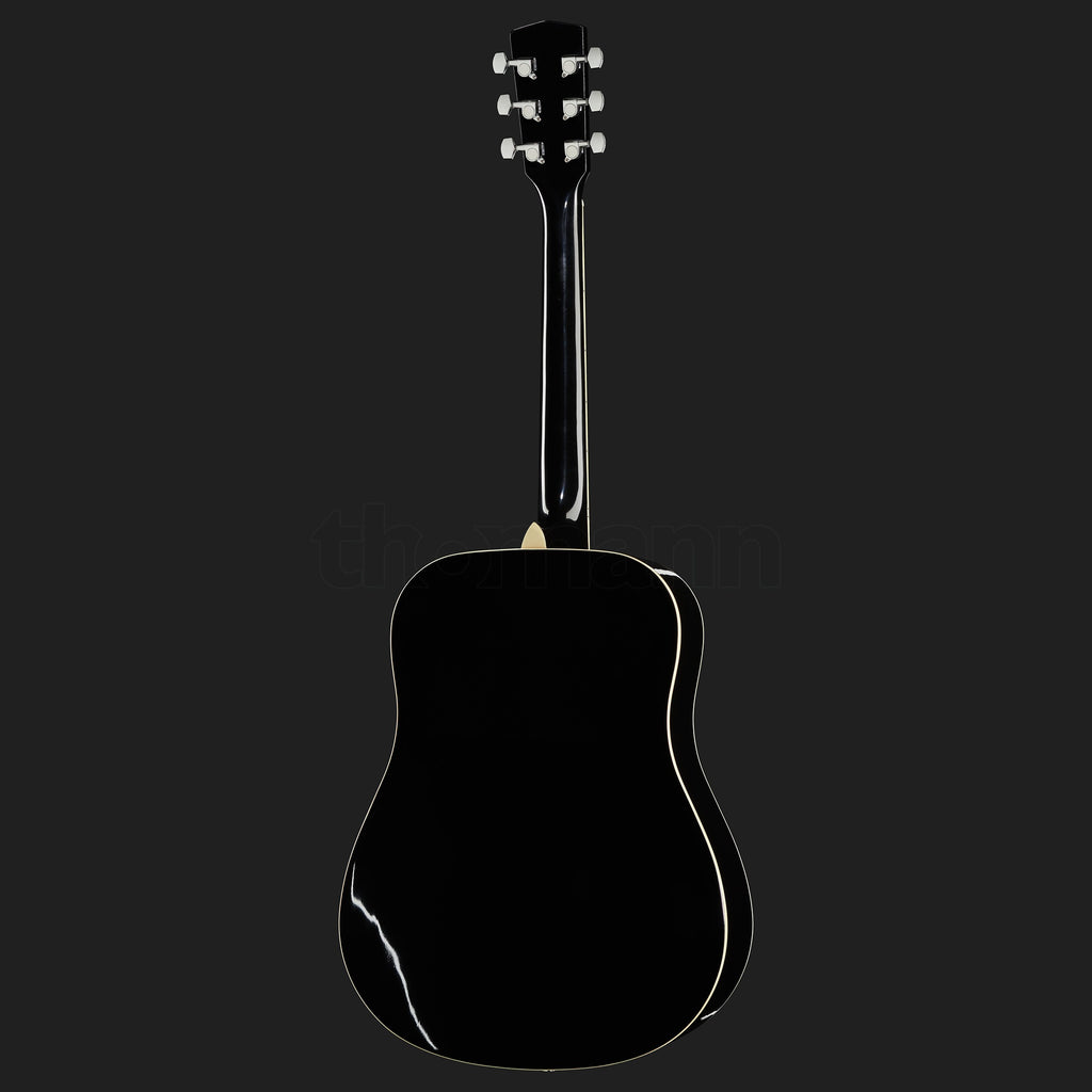 Harley Benton D-120BK