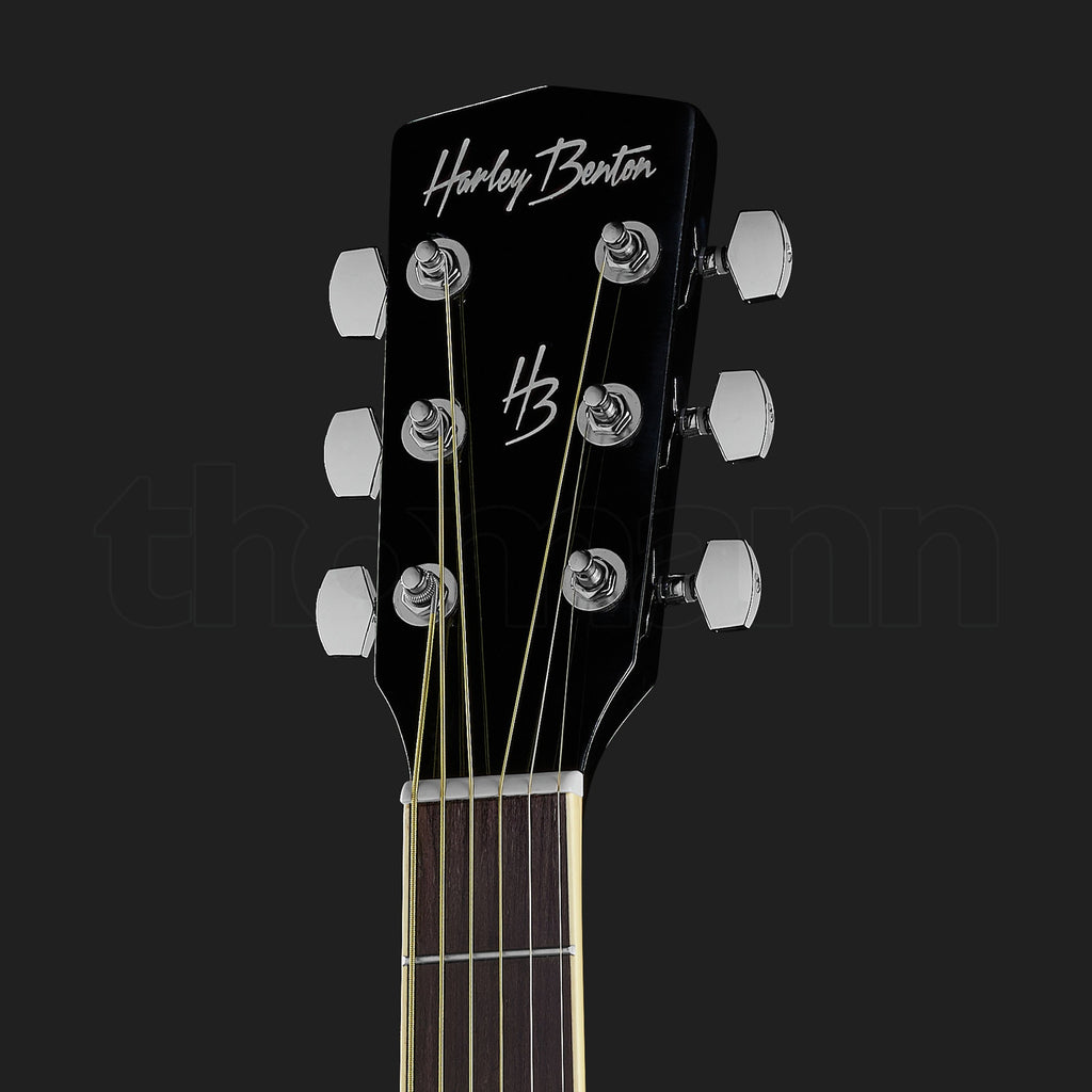 Harley Benton D-120BK