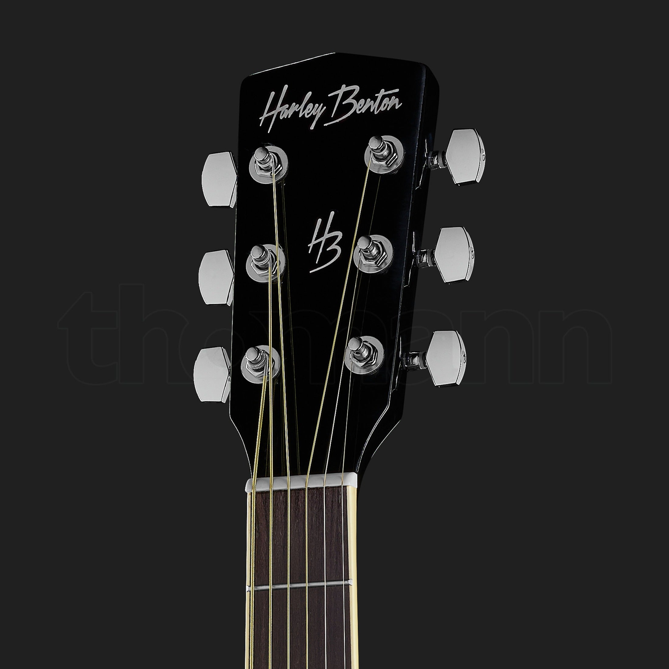 Harley Benton D-120BK