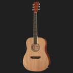 Harley Benton D-120NT