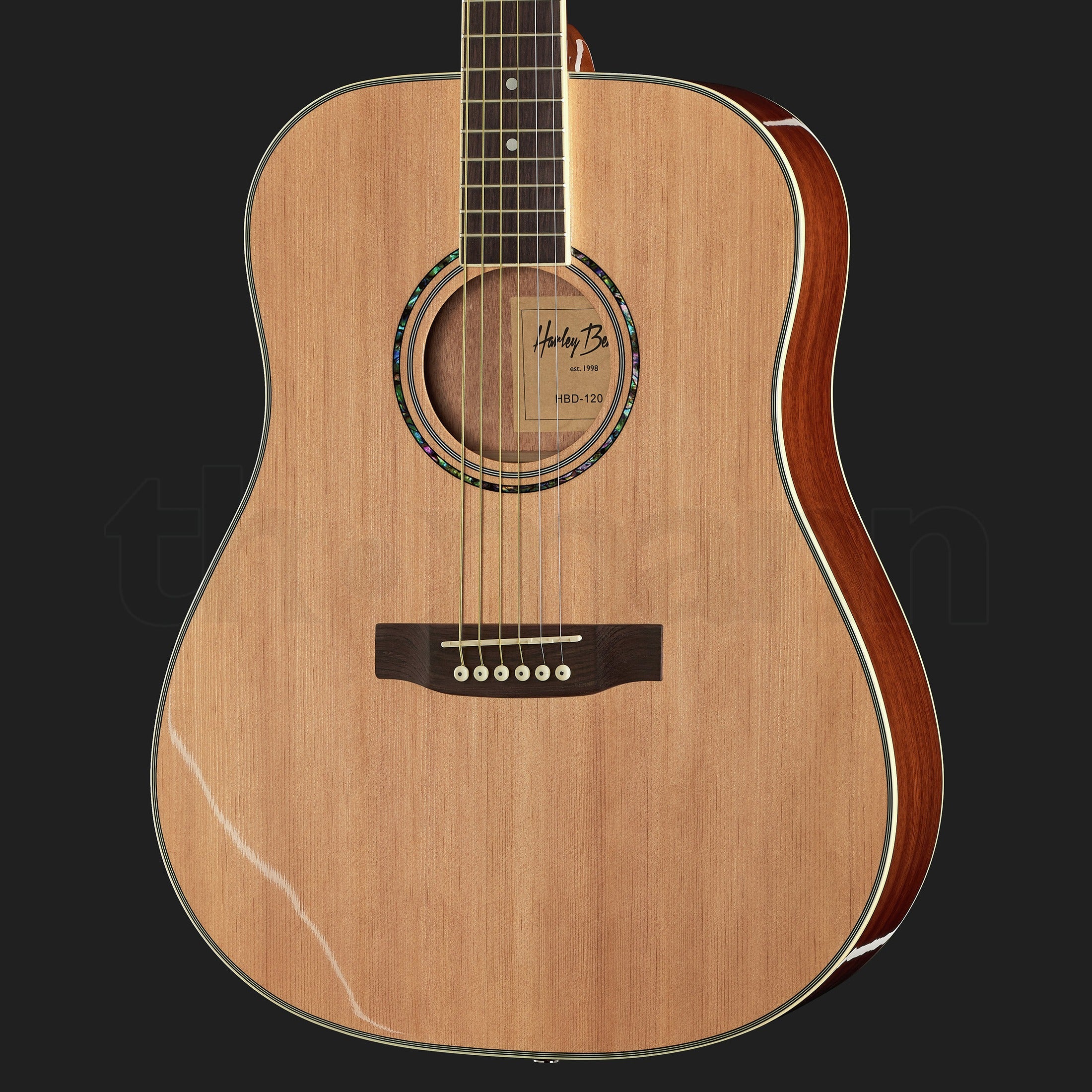 Harley Benton D-120NT