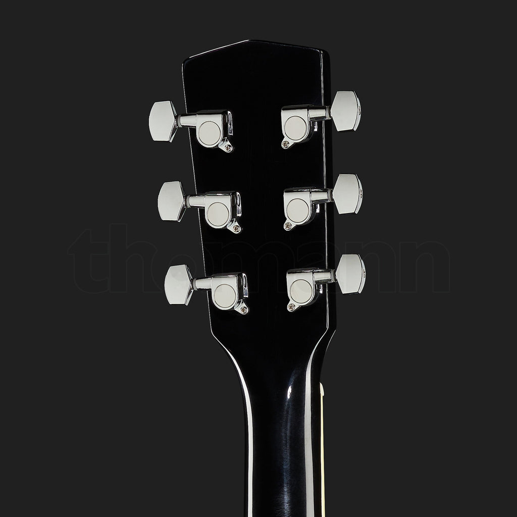 Harley Benton D-120BK