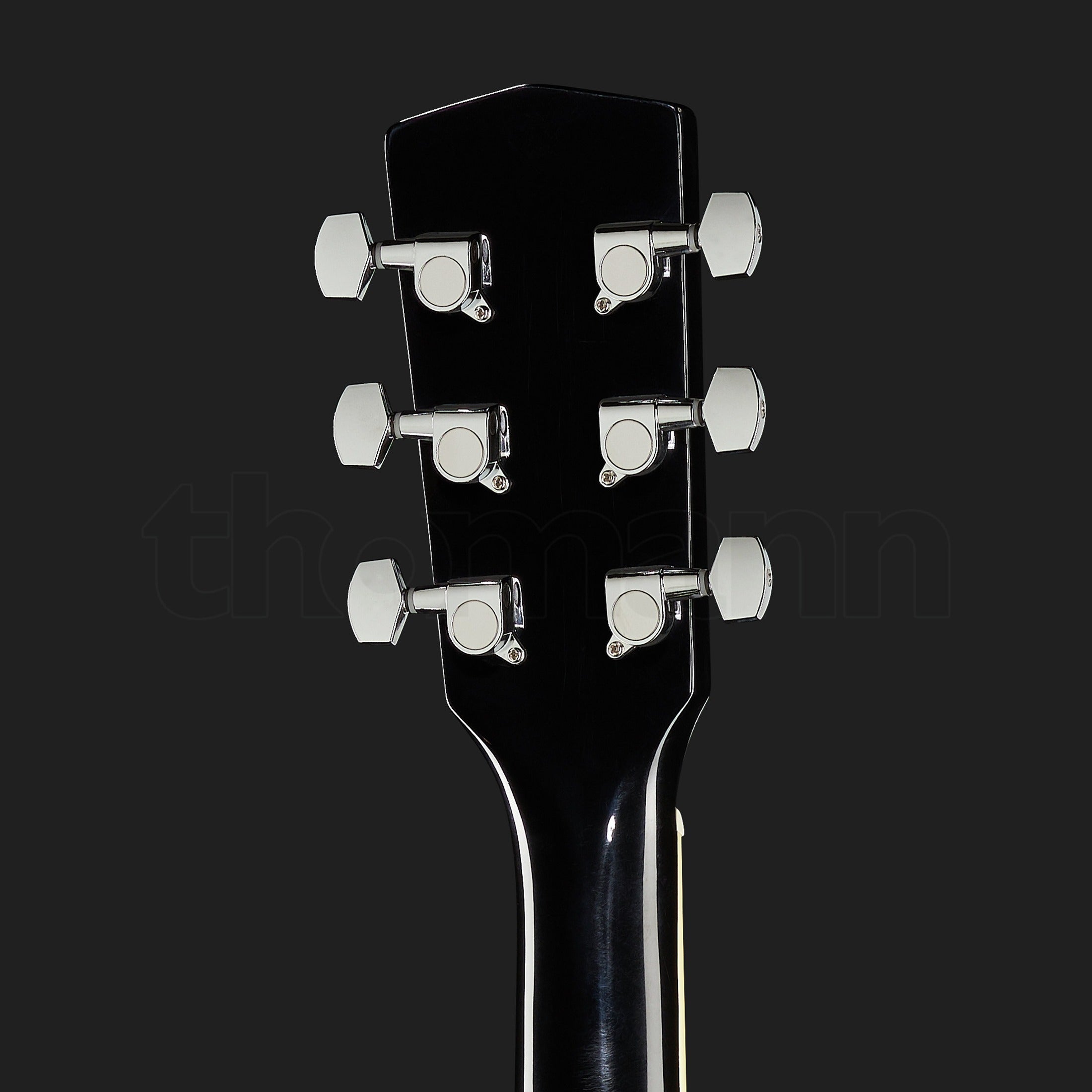 Harley Benton D-120BK
