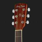 Harley Benton D-120VS