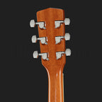 Harley Benton D-120NT