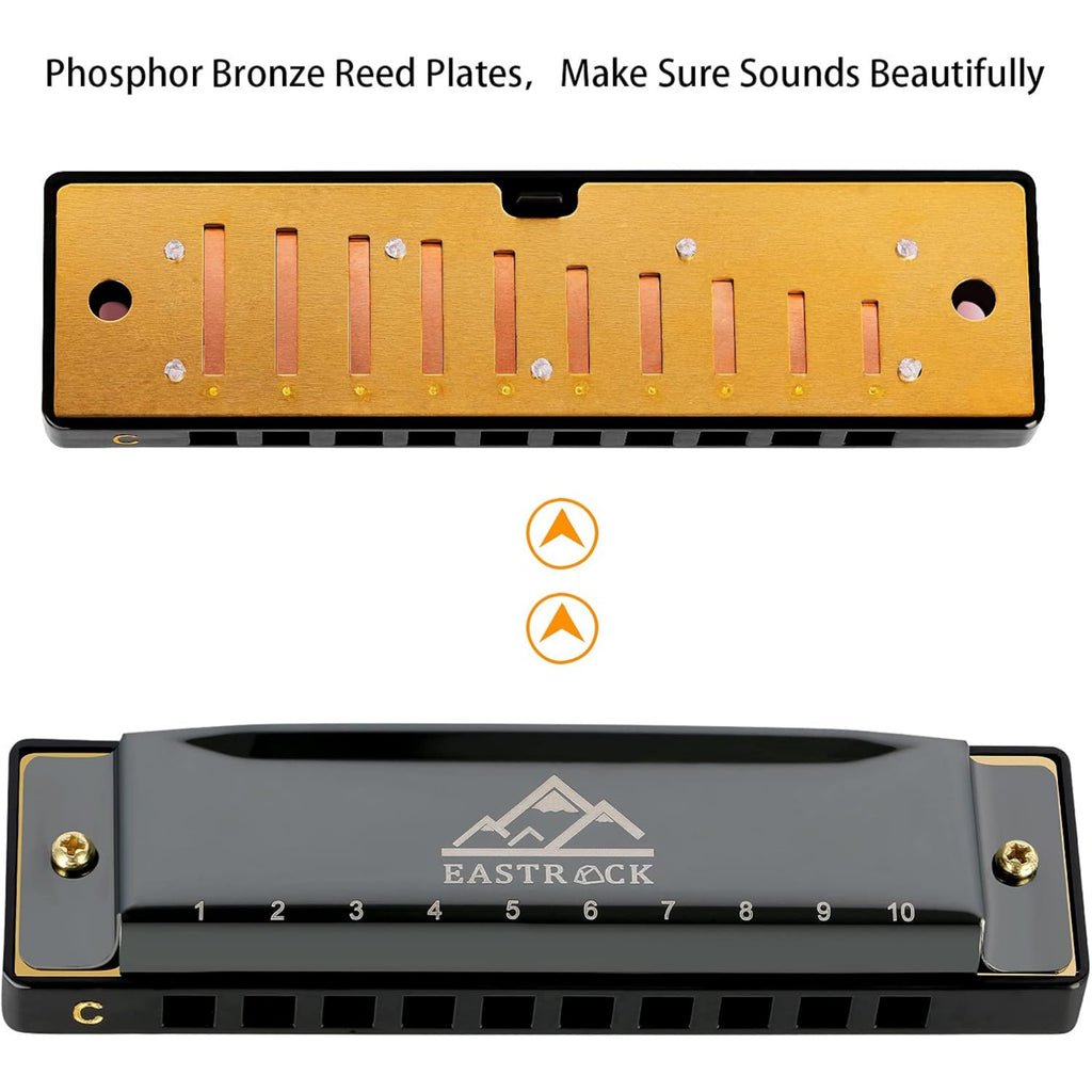 LW Essentials® Basic Diatonic Harmonica