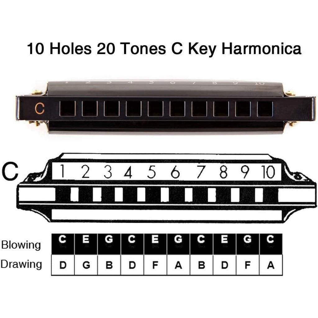 LW Essentials® Basic Diatonic Harmonica