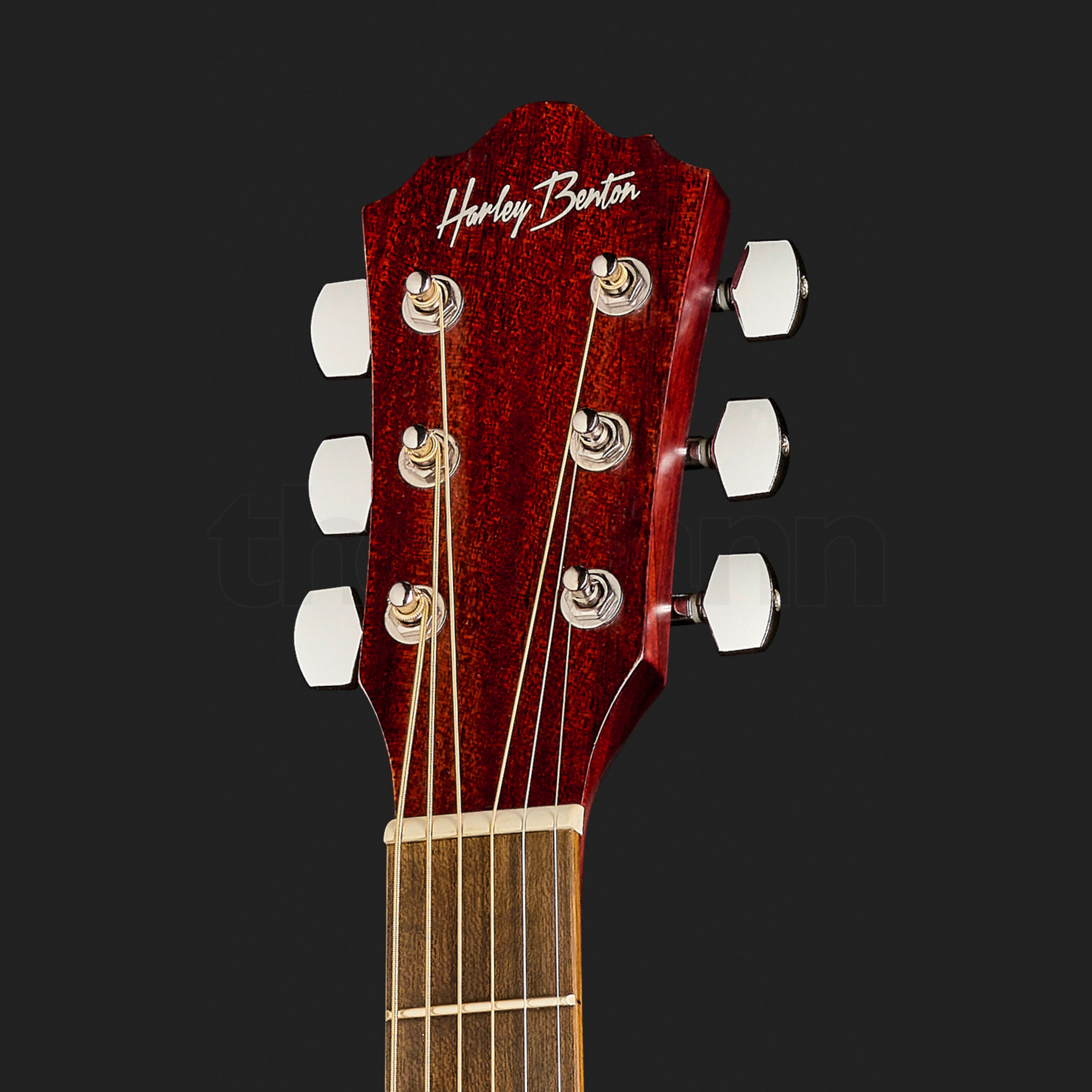 Harley Benton Delta Blues DCE