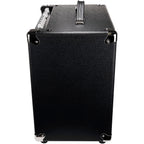 Quilter Labs Aviator Cub Advanced Single-Channel Combo Amplifier