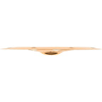 MEINL Classics Custom Trash China Cymbal