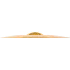 MEINL HCS Ride Cymbal