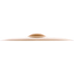 Zildjian A Custom Crash Cymbal