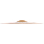 Zildjian A Custom Fast Crash