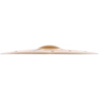 Zildjian A Custom EFX Crash Cymbal
