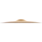 Zildjian A Series Splash Cymbal