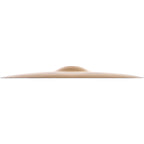 Zildjian A Zildjian Fast Crash
