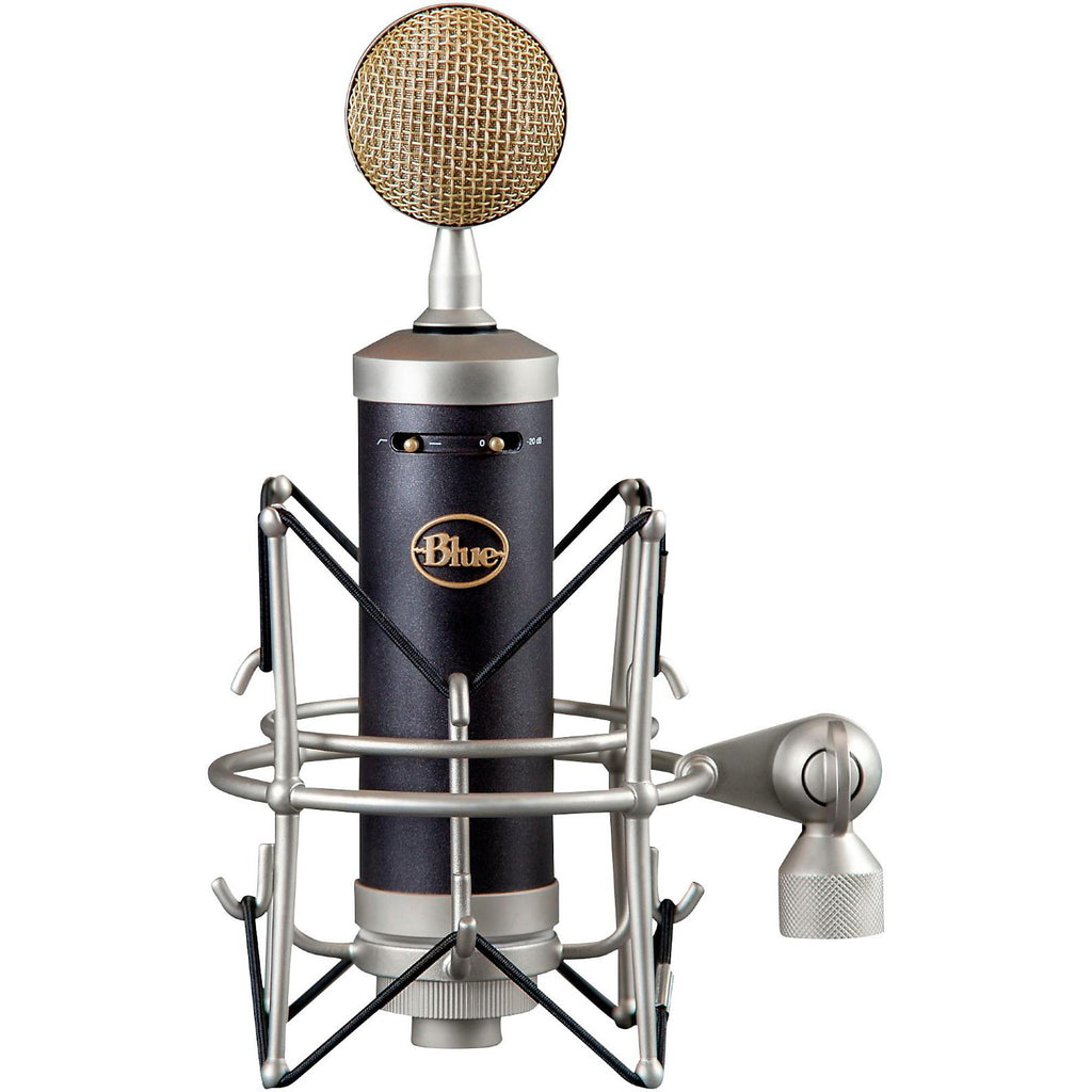 Blue Baby Bottle SL Large-Diaphragm Studio Condenser Microphone