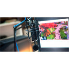 Blue Microphones Blackout Spark SL Black