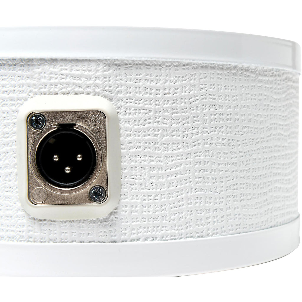 SOLOMON MiCS LoFreq Sub Mic