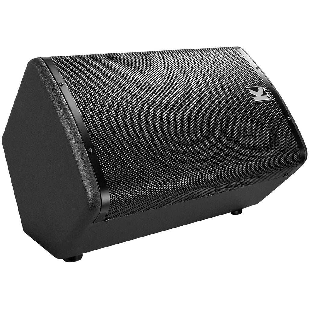 Kustom PA KPX10 Passive Monitor Cabinet