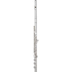 Wm. S Haynes Amadeus AF680 Professional Flute