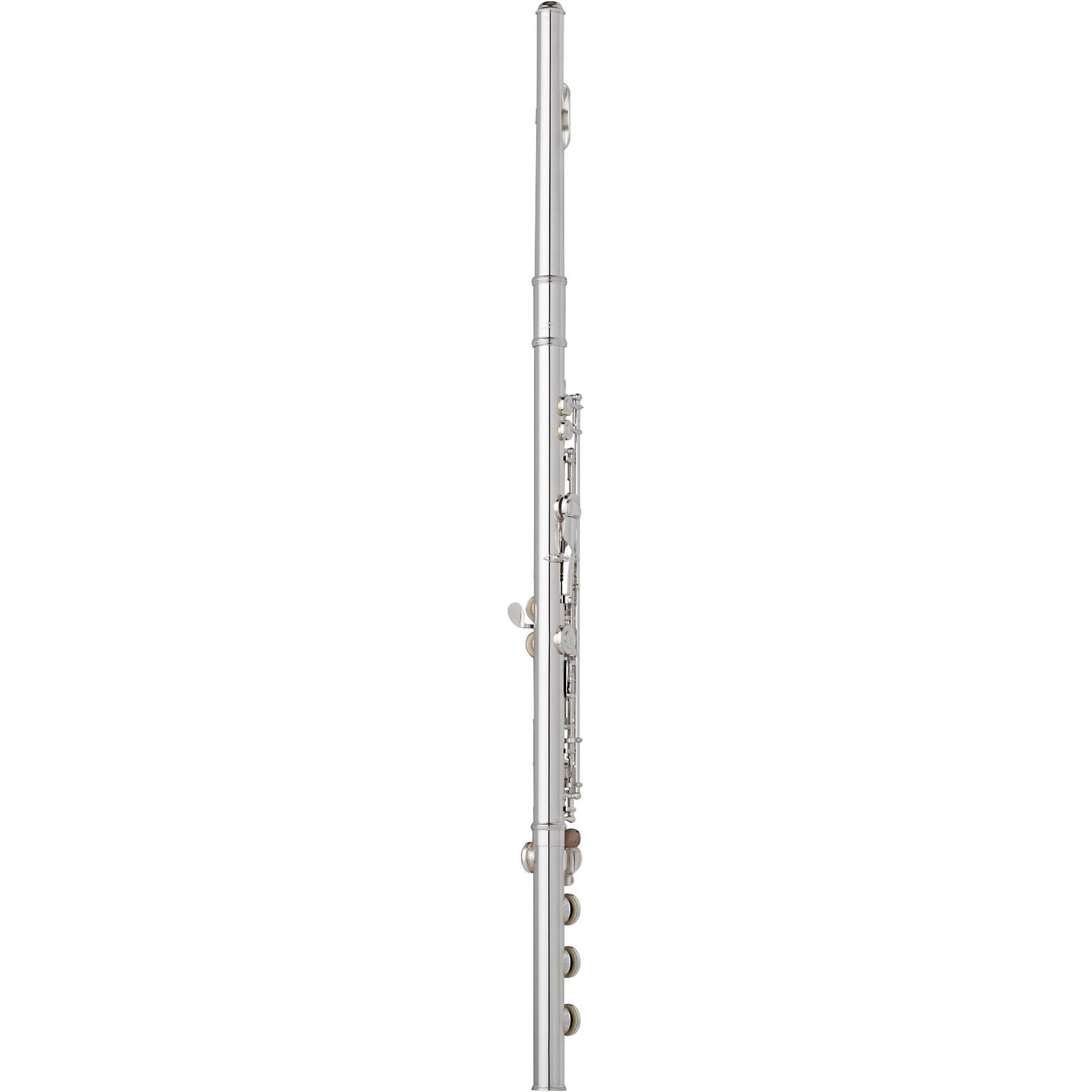 Wm. S Haynes Amadeus AF680 Professional Flute