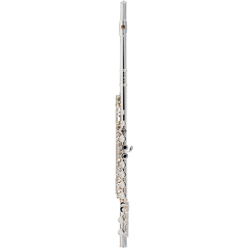 Allora Play It Again Flute Kit