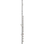 Wm. S Haynes Amadeus AF680 Professional Flute