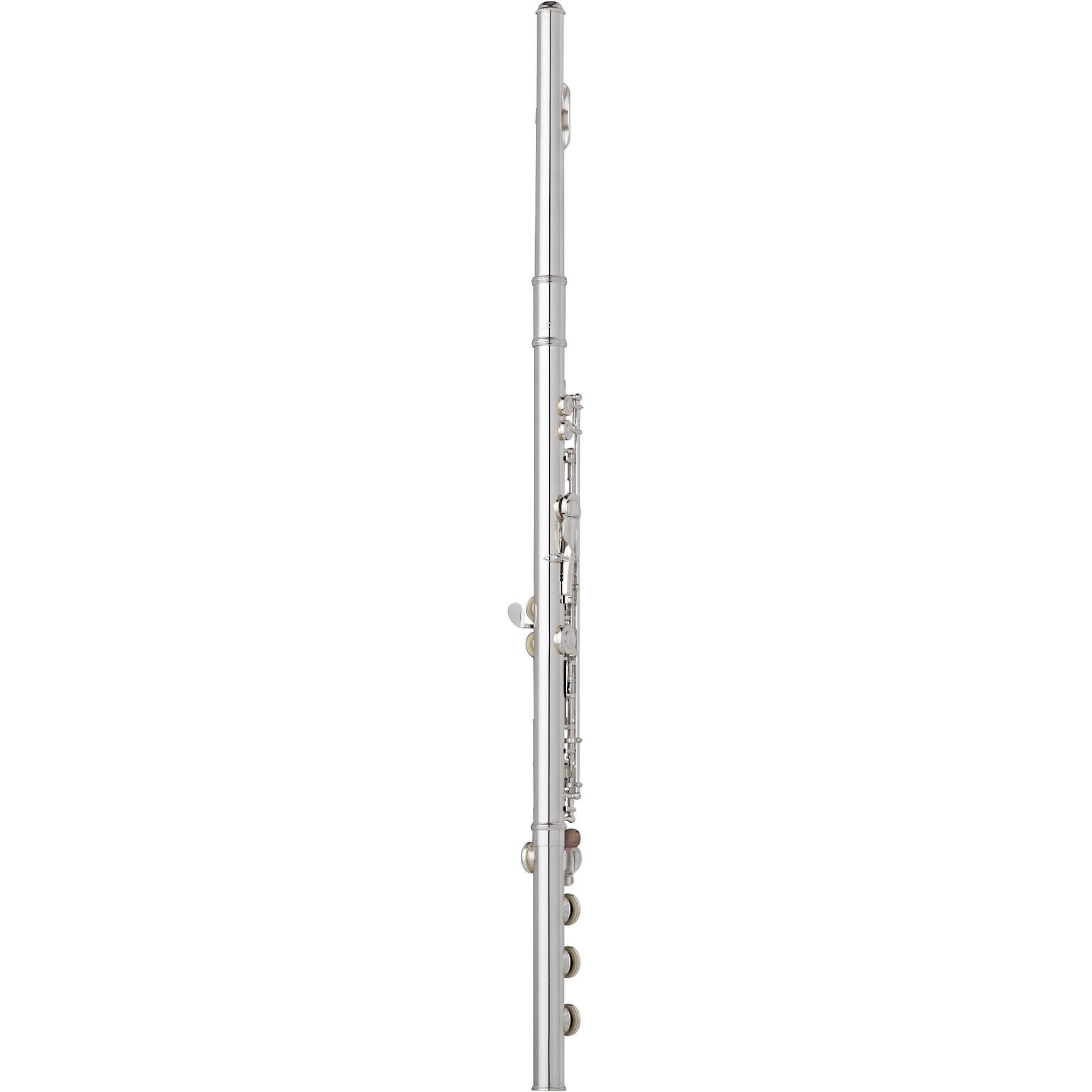 Wm. S Haynes Amadeus AF680 Professional Flute