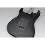 LW Essentials® Basic Stratocaster Back Plate