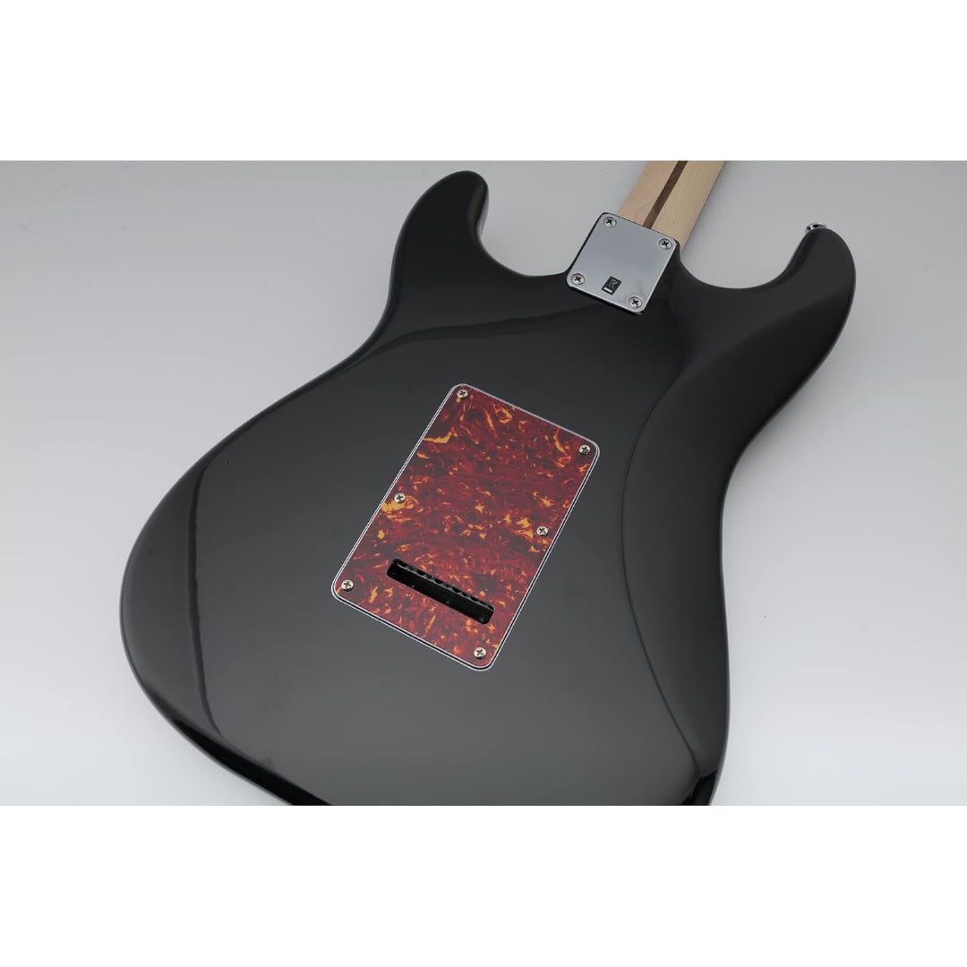LW Essentials® Basic Stratocaster Back Plate
