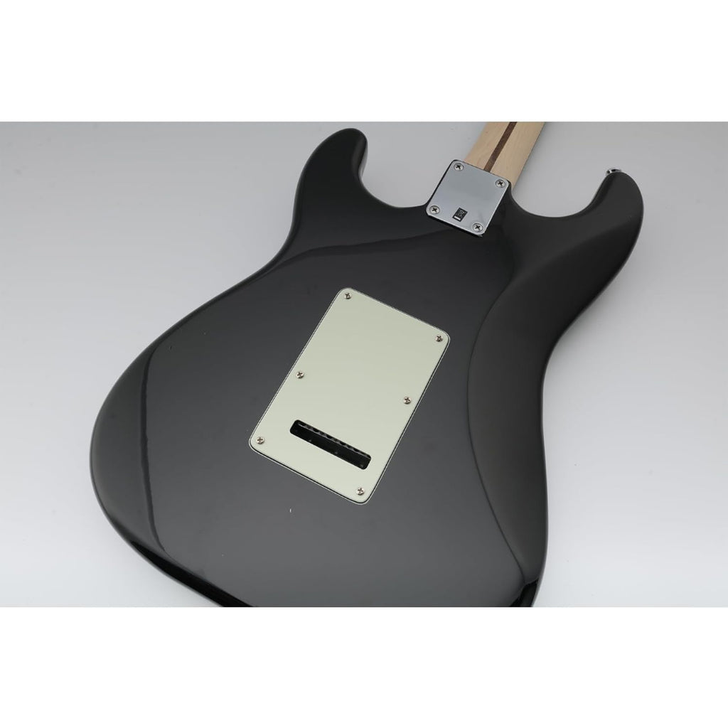 LW Essentials® Basic Stratocaster Back Plate