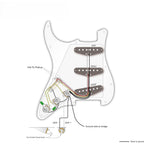 LW Essentials® Basic Stratocaster SSS Prewired Loaded Pickguard 11 Hole