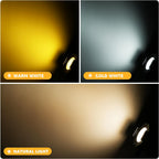 LW Essentials® Premium Stage Spotlights