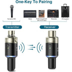 LW Essentials® Basic Wireless Microphone Receiver & Transmitter