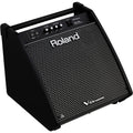 Roland PM-200 V-Drum Speaker System