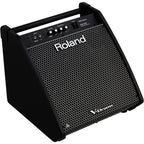Roland PM-200 V-Drum Speaker System