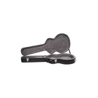 Epiphone E519 335 Guitar Hard Shell Case